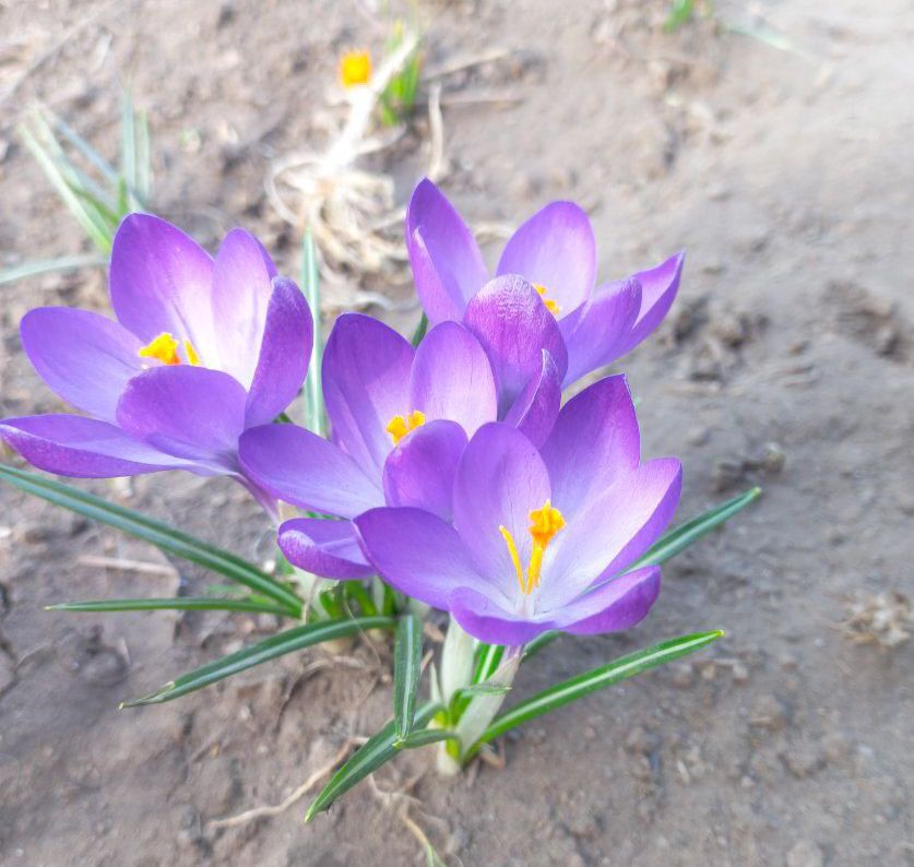 ����� � ������. ������� �� ����� ��������� ������������� ����������� ����� - ������� �������� � ����� ��������� �������������. ��� ���������� �������� �������, ������� ���������� ��� � ���, ��� ��� ��� ����������� ����� �������� � ����������