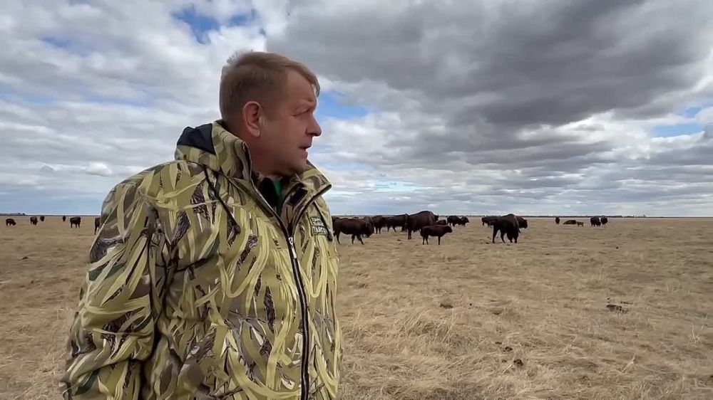 ���� ����� �������� ���� ������� ��� ���������� ������������ ��������-����