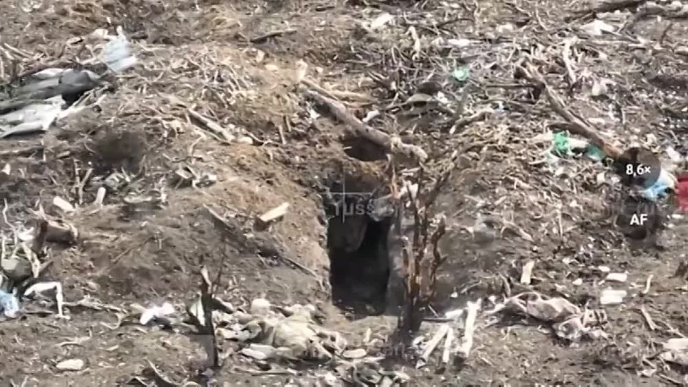 ������� ��������� �������� �������� �������� ��� �� ������� ������ ��������-��������