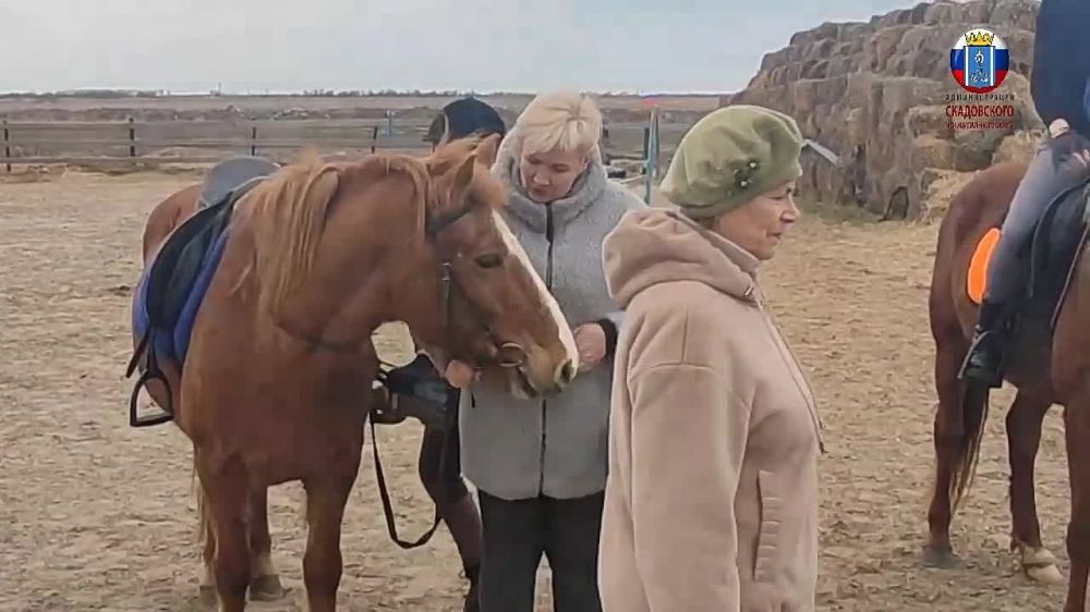 � ���������� ������ ������ ������ ���� �������� ������