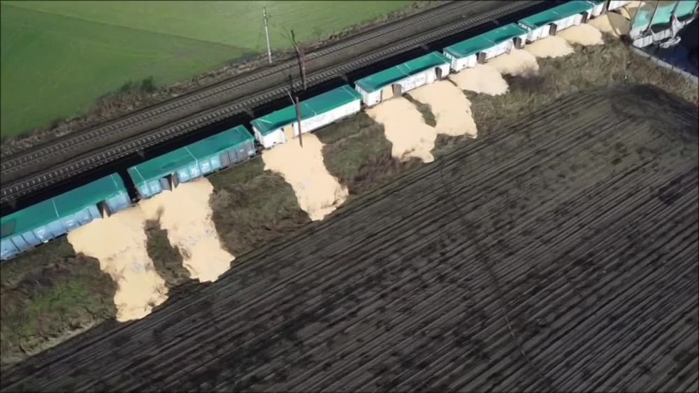 ������ ��������� ����� ���������� �������� � ���������� ������, � ����� �� ������� ��������