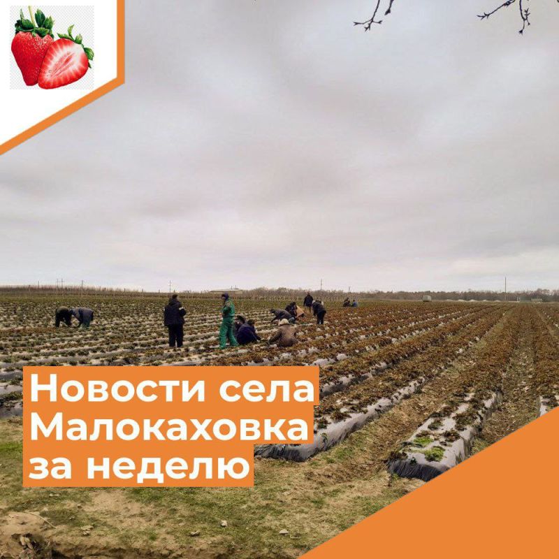 ������� ���� ����������� �� ������ � 19 �� 25 �������