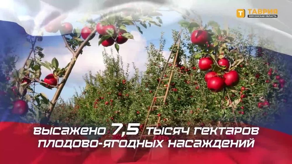 ��� ������������ ������ �����, �������� � ���������� � ������� ���������� ���������