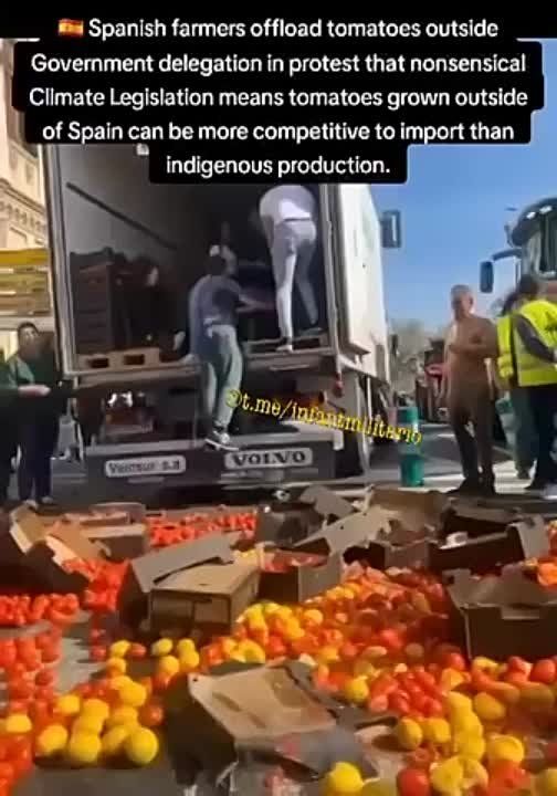 �������� ����������� �������� ������������