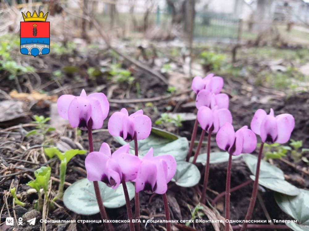 ������ ����, �������!. @VGA_Kakhovka