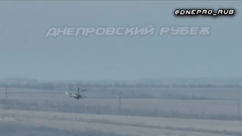 ����������� ����� "�����". ���������� �����������