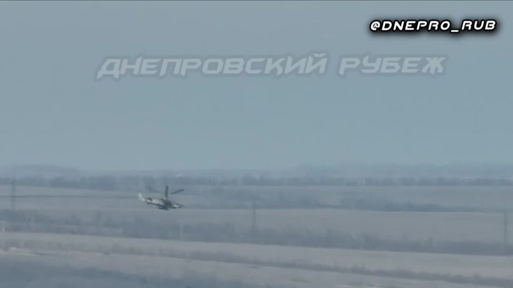 ����������� ����� "�����". ���������� �����������