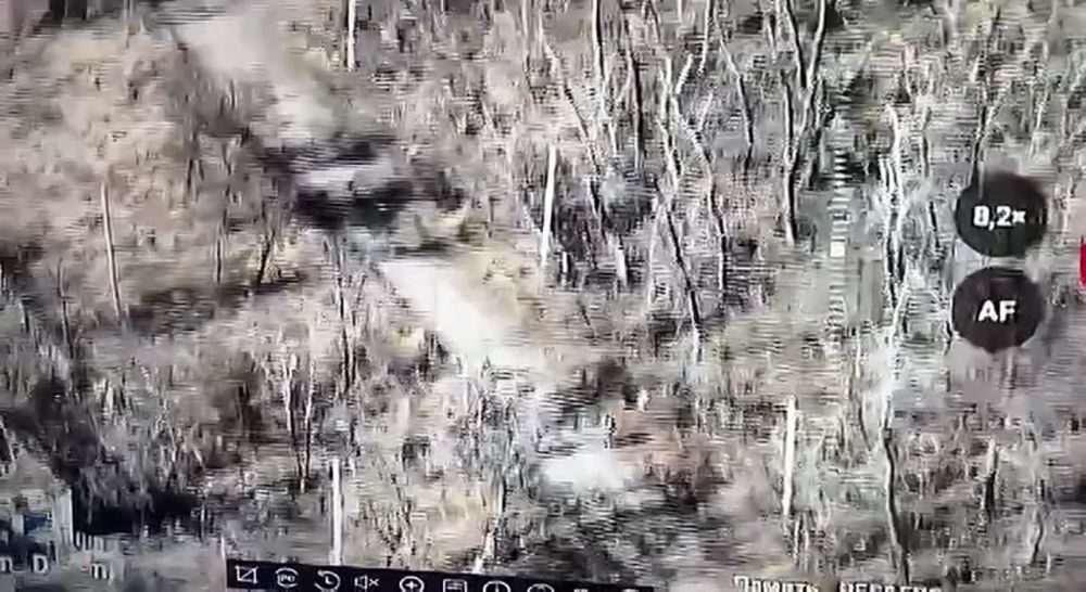 �������� ����������� ������ �������� ���� ��������