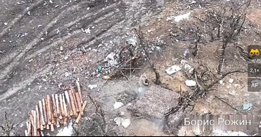 �������� ����� ��������� ����������� ���������� �� ��������, �������� � ������� �������� ���������� ������������ ����� ��������� ���������� �������� ������ �� ������������ �����������