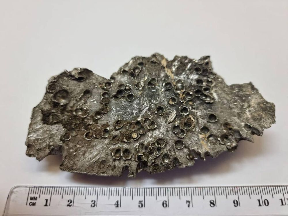 ��� ��������� ��������� ��� � ������������� ������ � ����� �������