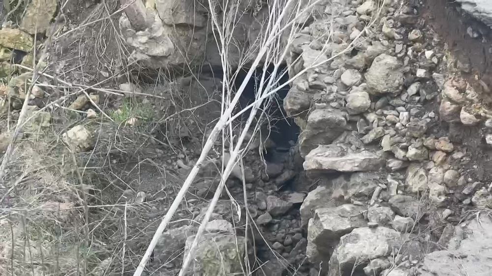 ����� ����������: ����������� � ������������� ����� � ��������������� ������� ���������� ������� - ��� ��������