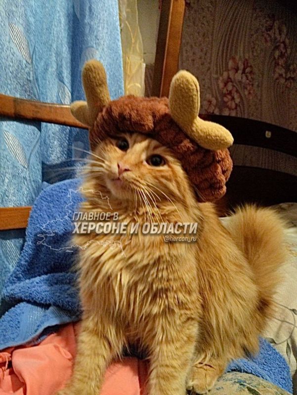 ����� � ������� � �������� ������� �������� ���� ������ �� �����������