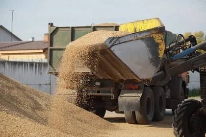 ��������� ������ ��������� ��������� �� ������� ������ � ��� � 2024 ����