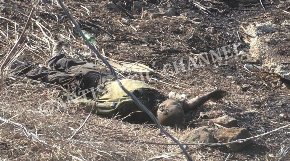 ��� ���� ���� ����������� ���������������, �� ��������� ������� � ����������� ������