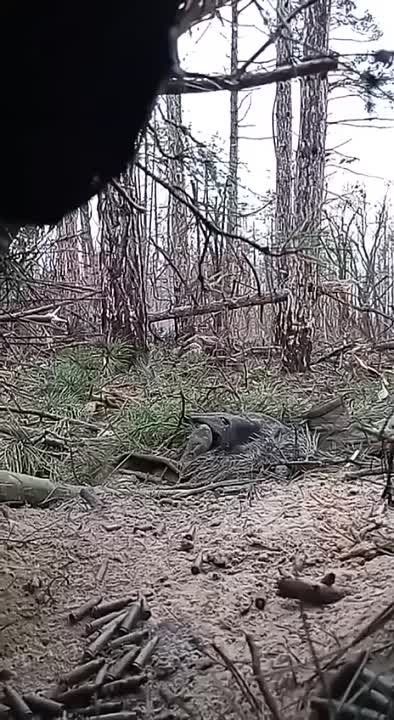 ���������� �����������. ��� ������ ���������� � ����������� ������������ ,���� ���������� �������������� � �������� "������" ��� �����,� ������� ������� ��������� �� ���������