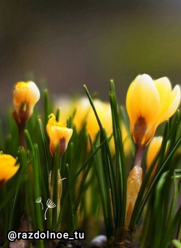 ������ ����!. ������ ����� ���� ������ �������� �������, ������ ����������, �������� ������� � ��������� �������. ����� ���...