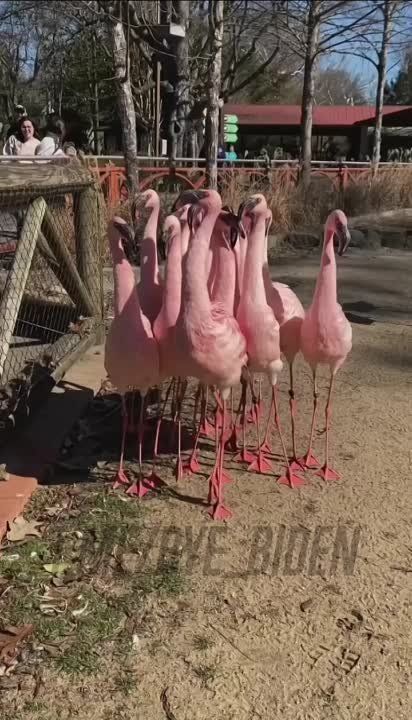 ��� �������� �������� ��������� � ����������� ��������� ������