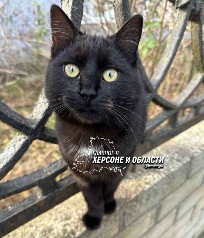 ��������� ���� ���������� ���� ��������������� ������ �� ���������