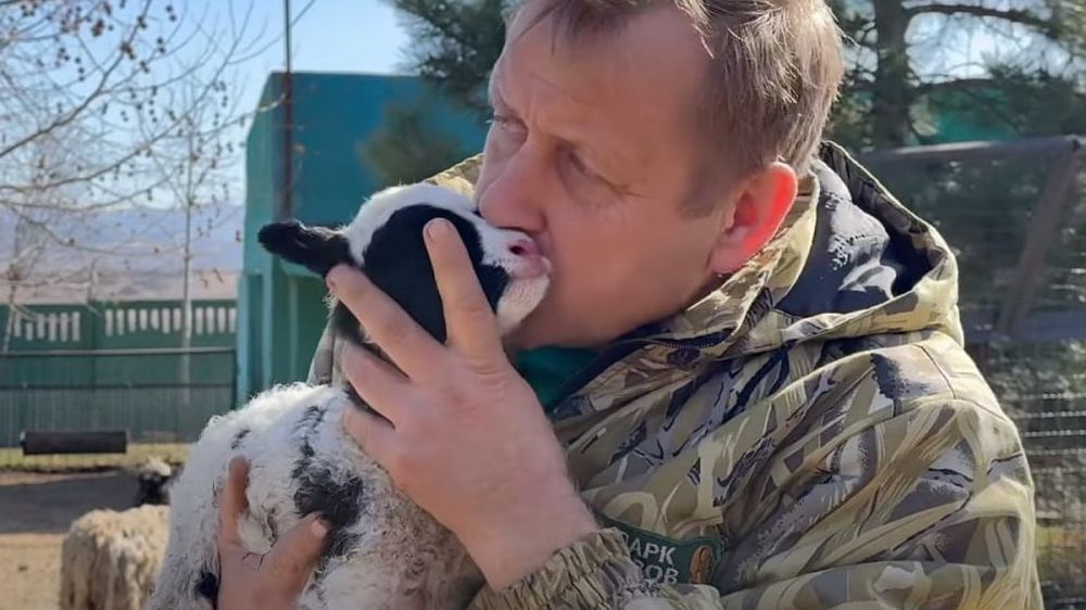 ���� � ������� �����, �����, �������: �������� ����� ������������ ��������� � ������������ ��������-����