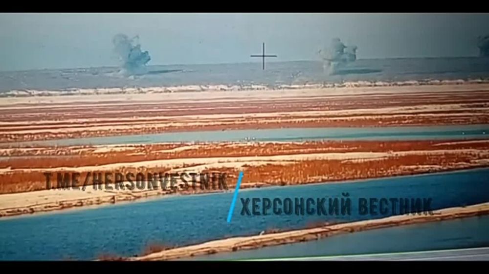 ������ ����� ������. ��������� ���� ��������� ���������� �������� �������������� 49 �� ���