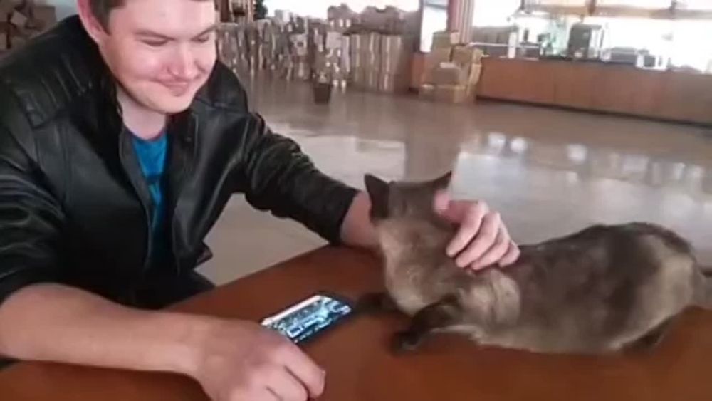 ��������� ������� ����� ������� �������� ������ ������������ ��������