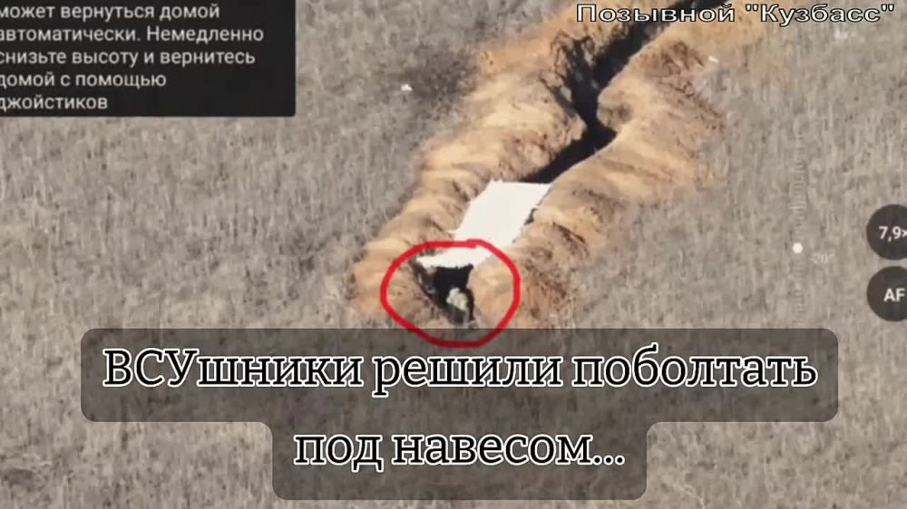 �������� � ����� ����� ���