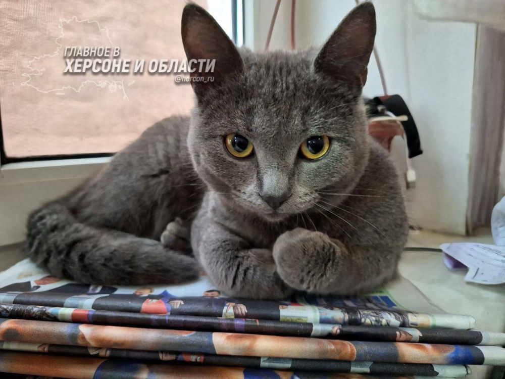 ���������! � ���� ������ ���