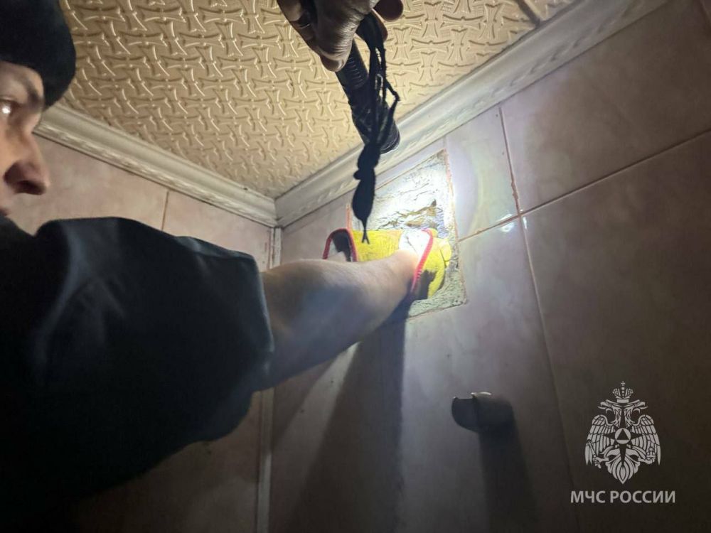 ��� �� ��� ����� ���. ������� ������� ������� ��� ������� ����������, ����� ���������� � �������������� ����� �������� � ���������� �������