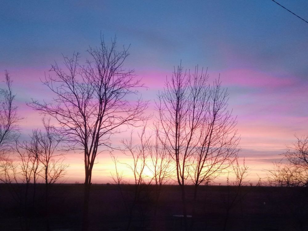 ������, ����: �������� ������� �� ������������������ ��