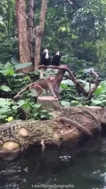 ������� �� �������, �� � �� ������ �� ��������