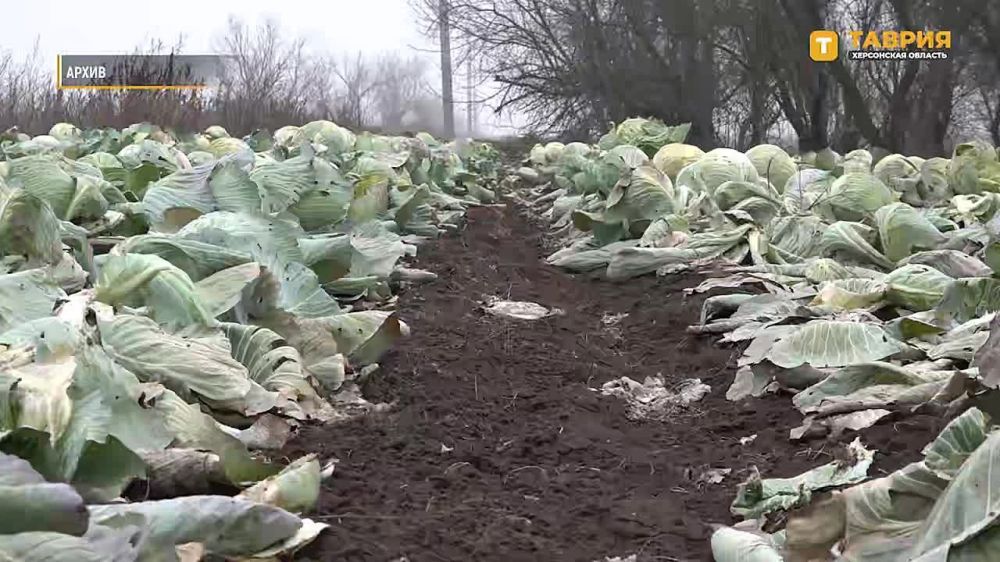 � ��������� ������������� ������������ ��������� ��������� ����������� � ��������� ���������� �������