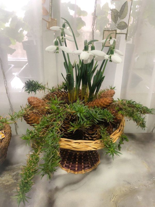 � ������ �����, �����������!