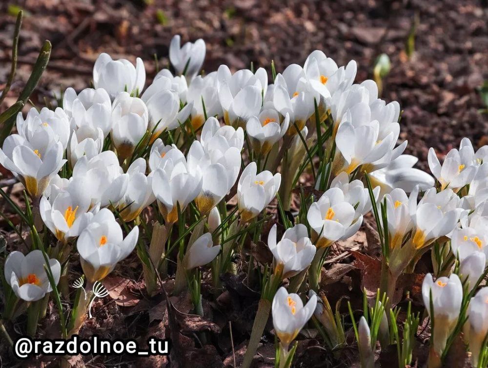 � ������ ���� ����� ����������!