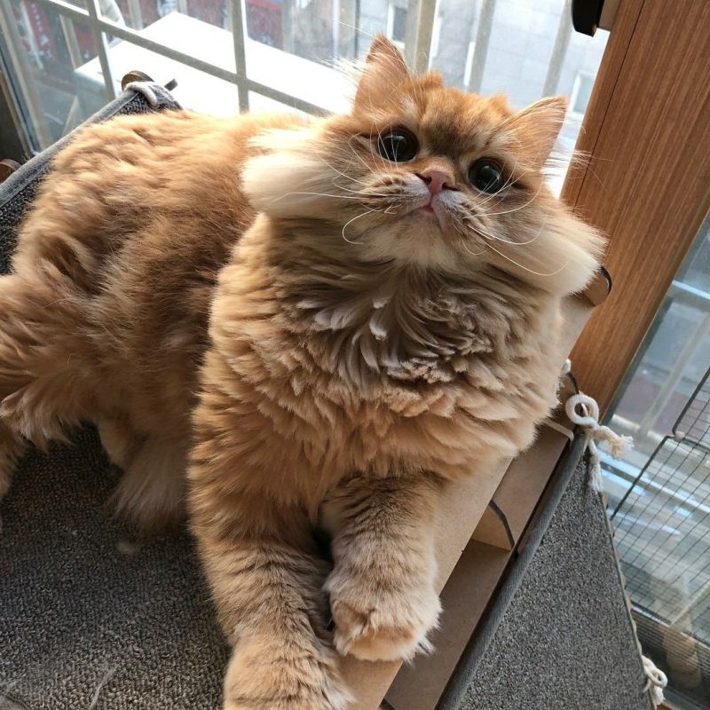 ���� � ���� ��� "������", ����� � ���, ������, �����!