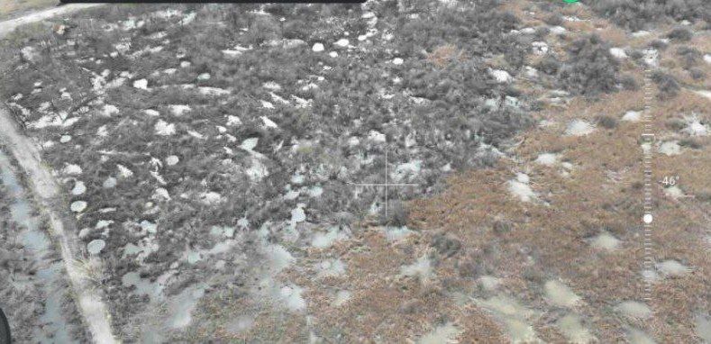 ���� � �������� ���������� ������