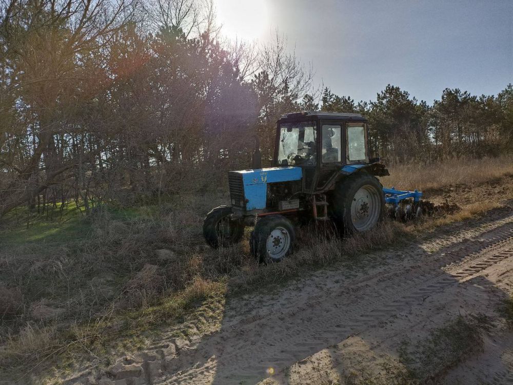 � ������ ���������� � �������������� ������ 2024 ���� ��� �� "��������������� ������������� ���������" ���������� � �������� � ���������� ���������������� ����� � ������ ��������