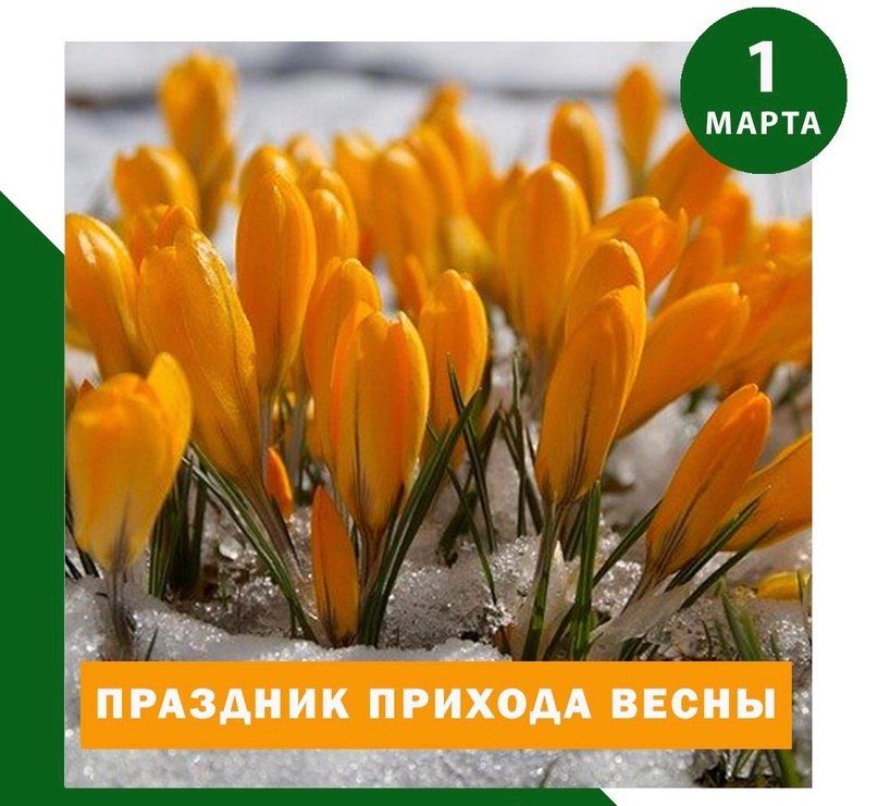 ������ ���� �����. �������� ������� ����� � �� ������ ��������� ������ �������� ��������� ����������� ����� ������