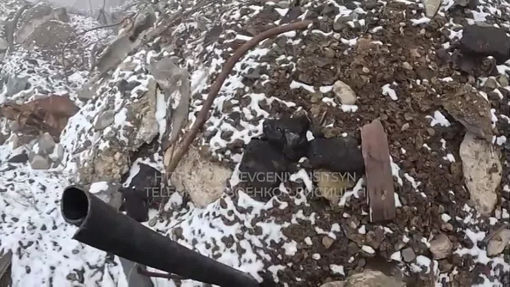 ���������� 1 �� ���������� ������������ �������� ��������