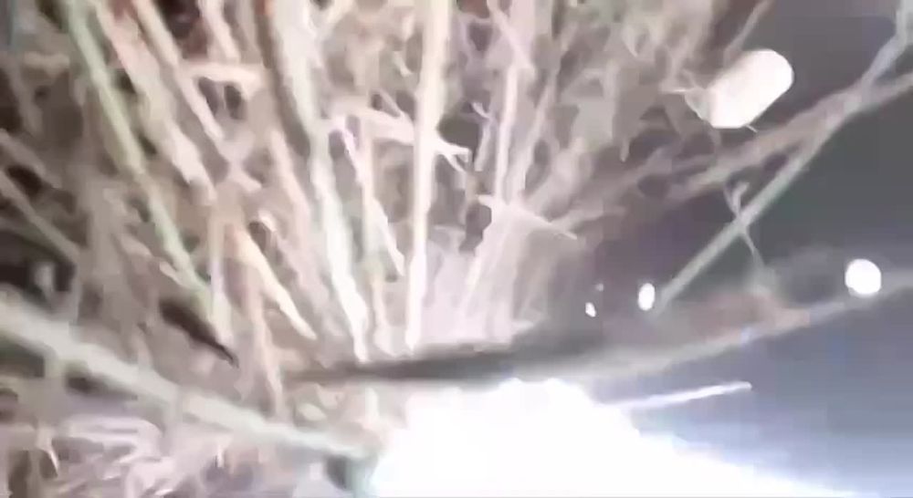 �� ����� ���������� ����� �� �������, �� ��������� �� ��� ������������� � ��������