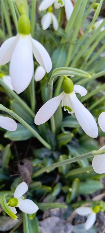 � ������ �����, �����������!