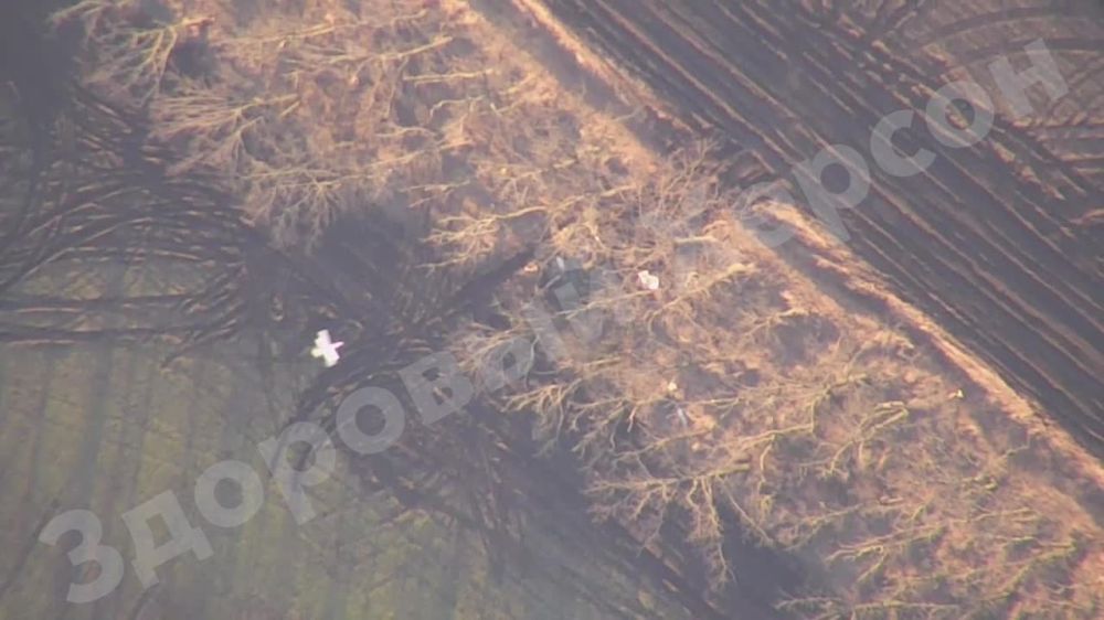 ���� ������������� ���������� �������� � ���������� ������� ���������� �� ������ ������ ������