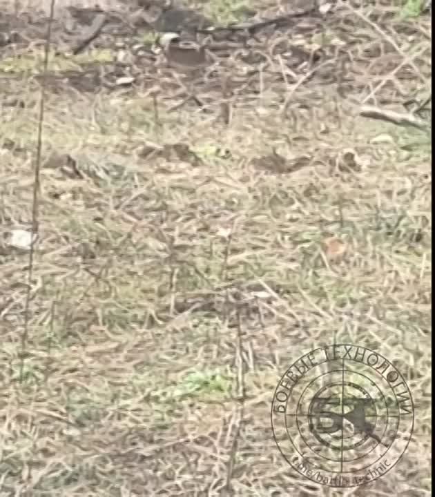 ��������� "������������" ������ �� ����� ����� �� ��������� "���������", �������� ����������� ������ � ��������