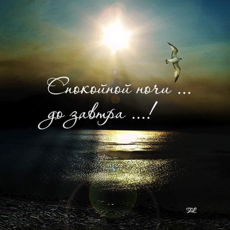 ������ ����. ������ �������� ������ ����� ��������� � ������� �� ������ ������. ��� �������. ����������� �� +1 ����� �� +10 ���