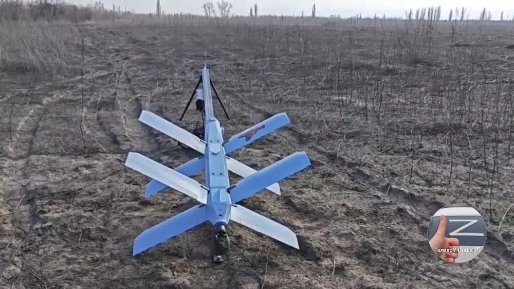 ���������� �������, ������ ����� ������, �������� ��������� ���������� ������ ���� ����������� ����� �� ����� ��������