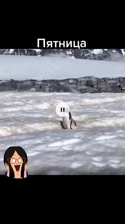 �������!!!. ������� �������� ��������