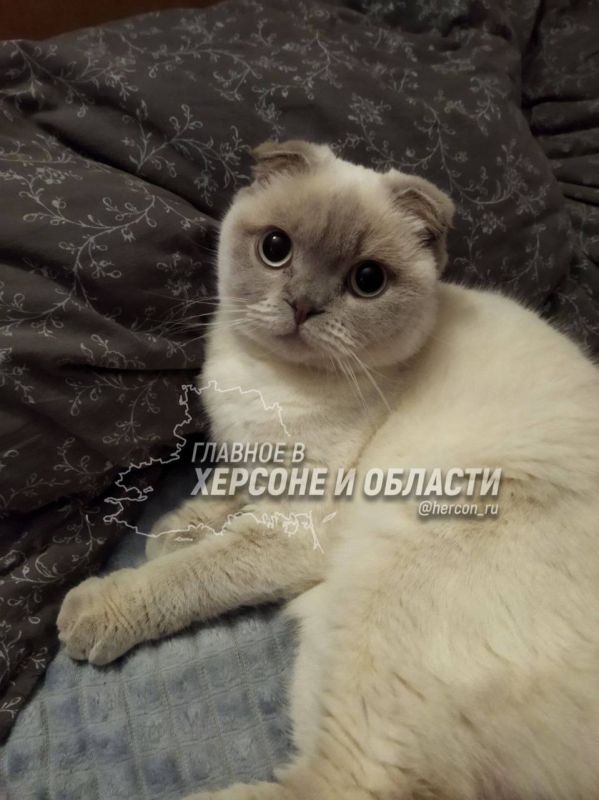 ����� ���� �������� ������ ���� ����������� �������� � ������� � �������