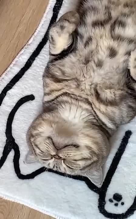 ������ �������, �� ����� �����, ��� ��� ����� ����, �� "�����" ���� ���������, ��� ��� ����� ������� �� ������� � �����