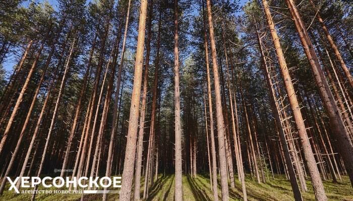 � ���������� ������� ���������� � �������� � ���������� ���������������� ����� � ������ ��������