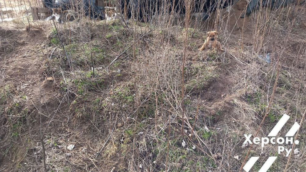 ����� ��������� �����.. ��������� �� ������.��