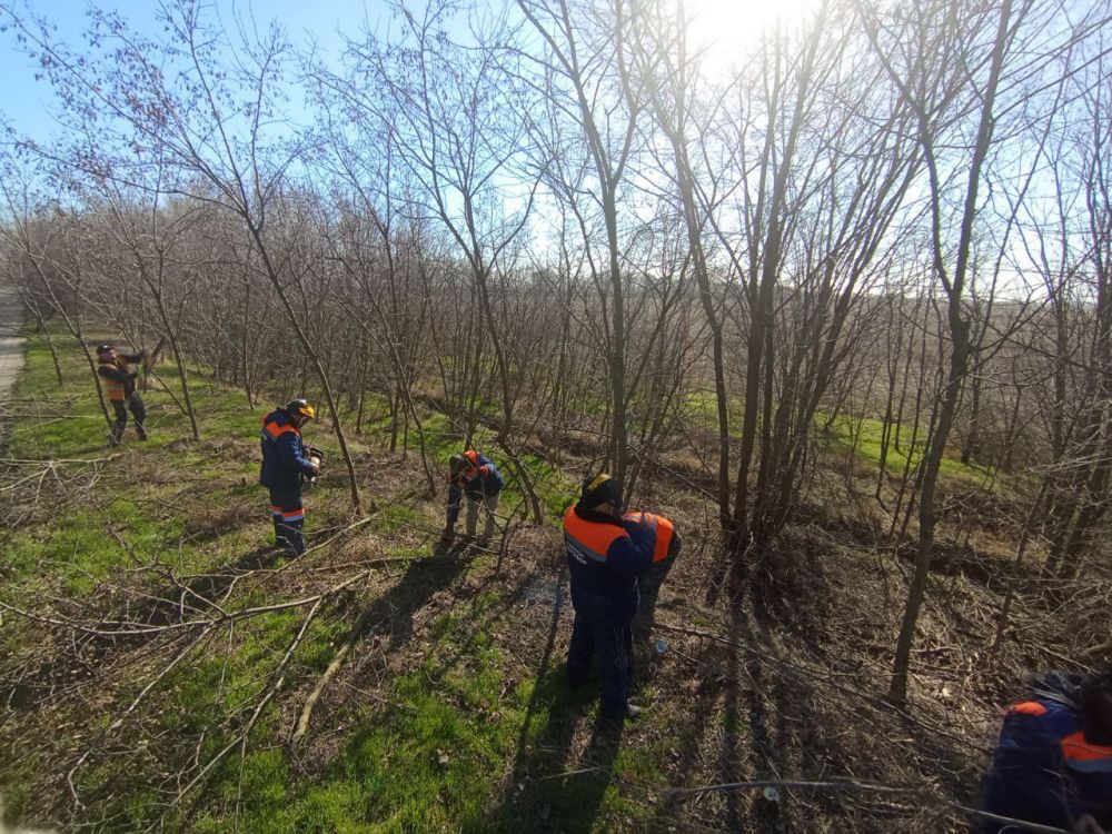 � ���������� ������� ���������� ������� ������ �� ���������� ������������� �����